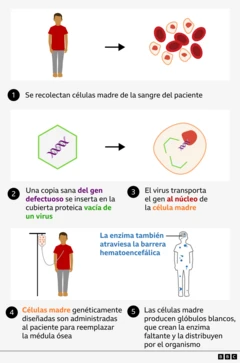 gráfico