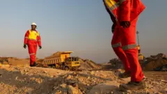 ማዕድን አውጪዎች