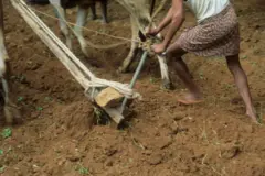ఏపీ ల్యాండ్ టైటిలింగ్ యాక్ట్ 
