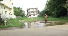 बॉक्स ऑयल 