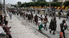 Loltoota TPLF