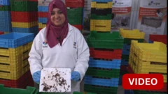 பிளாஸ்டிக்கை சாப்பிடும் புழுக்கள் – நெகிழி மாசுபாட்டை தடுக்க உதவுமா?