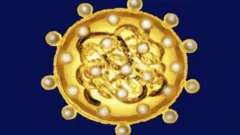 Vaayirasicha 