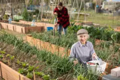 Mulher idosa em canteiro de plantas