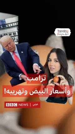 أسعار البيض في أمريكا وتهريبه من المكسيك يثيران سخرية الأمريكيين