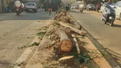 విశాఖలో చెట్ల నరివేత 