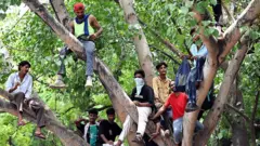 தர்மேந்திர பிரதான் ராஜிநாமா ஏன்?