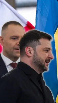 Президенты Украина и Польши на фоне флагов