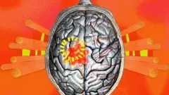 બીબીસી ગુજરાતી, ગુજરાત, બીબીસી, ગરમી, મગજ, માનવ મસ્તિષ્ક, હેલ્થ, સ્વાસ્થ્ય, ગ્લોબલ વૉર્મિંગ