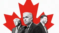 特朗普、卡尼與習進平的大頭照