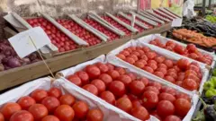 Azərbaycan Rusiyaya daha çox meyvə-tərəvəz, pomidor ixrac edir