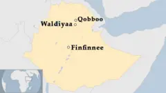 Danaa magaalaa Qobboofi Waldiyaa