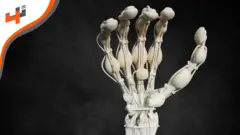 نستكشف كيف تمكنت سويسرا من طباعة أعضاء بشرية بكافة أجزائها دفعة واحدة