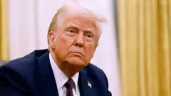 የአሜሪካው ፕሬዚዳንት ዶናልድ ትራምፕ