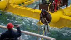 Kampaniin Chaaiynaa galaana jalaa albuuda soqaa yeroo jirutti