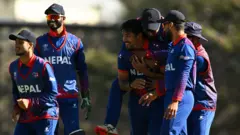 क्रिकेट 
