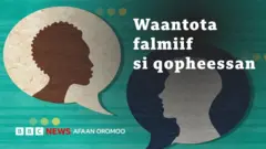 Waa'ee falmii