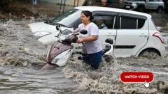 ગુજરાતમાં વરસાદ