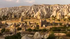 RalucaHotupan/Getty Images