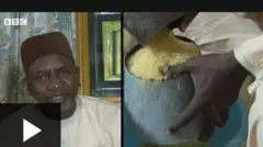 Aworan Sheikh Haliru Maraya ati ọwọ to n wọn irẹsi