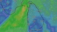 වැසි තත්ත්වය