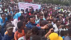 Namoota hiriira ba'an