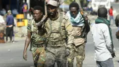 የትግራይ ኃይሎች