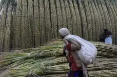 شوگر مل، چینی
