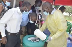 Sawir war oo la xiriira Waa maxay xanuunka Ebola ee ka dillaacay Congo, sideese la isaga ilaalin karaa?