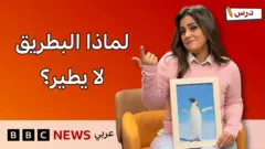 | لماذا لا يطير البطريق؟ وكيف نقدم نصيحة بالإنجليزية؟ |