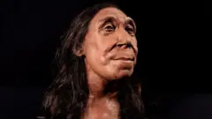 நியாண்டர்தால்