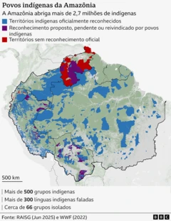 Infográfico mostrando o mapa dos territórios indígenas na Amazônia e informações sobre os povos indígenas