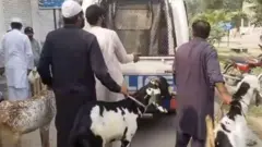 ਅਹਿਮਦੀਆ ਮੁਸਲਮਾਨ