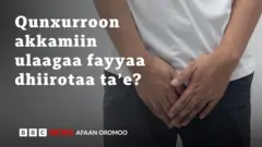 Fayyaa
