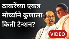 हिंदी सक्तीविरोधात राज ठाकरे आणि उद्धव ठाकरे एकत्र, कुणाला संधी? कुणाला धोका?