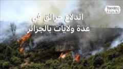 الجيش الجزائري يتدخل لإخماد حرائق في عدة ولايات
