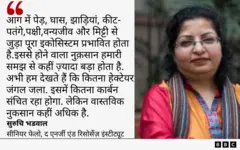 उत्तराखंड