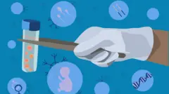 डिम्ब चिस्याउने र वीर्य सेचन गर्ने विधि
