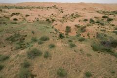 Sidee saxaraha looga dhigi karaa dhul doog leh?