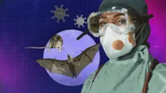 穿防護衣的醫護人員，蝙蝠和老鼠