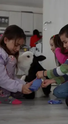 Deca maze tele u kući