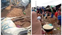 Aworan maalu ni Ilorin