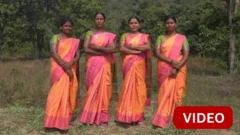 'கையில் டார்ச் லைட், ஆளரவமற்ற பகுதி' - புலிகளிடமிருந்து மாணவர்களை காக்கும் பெண்கள்