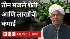 शेती