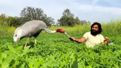 தோள் கொடுத்த தோழனை விட்டுச் செல்ல மறுக்கும் பறவை