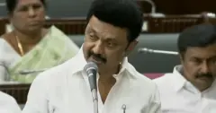 ஸ்டாலின், திமுக
