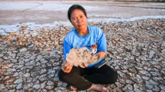 PANUMAS SANGUANWONG/BBC THAI