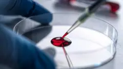 બ્લડ, બીબીસી, ગુજરાતી