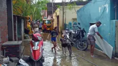 மிக்ஜாம் புயல், சென்னை மழை