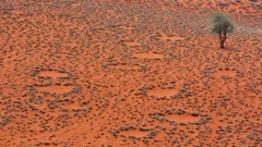 Círculos de hadas
